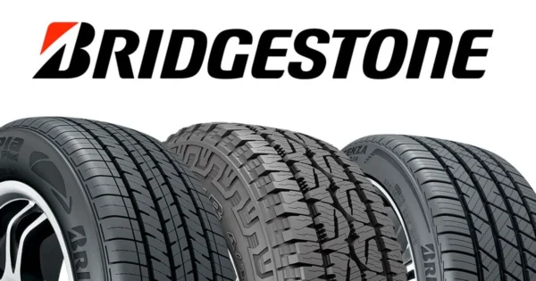 T 245/60 R18 D40RYZ 104H T/L